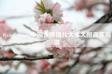 泗洪中国金牌图片大全大图真实高清