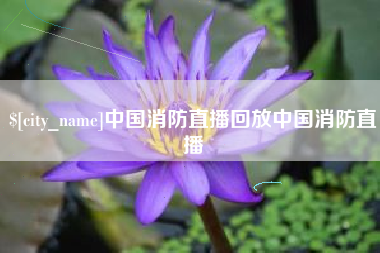 泗洪中国消防直播回放中国消防直播