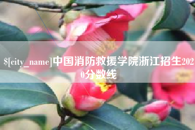 泗洪中国消防救援学院浙江招生2020分数线