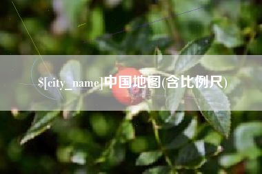 泗洪中国地图(含比例尺)
