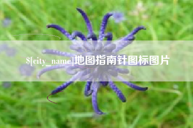泗洪地图指南针图标图片