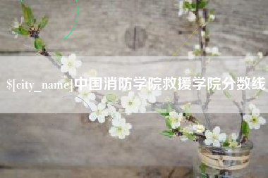 泗洪中国消防学院救援学院分数线