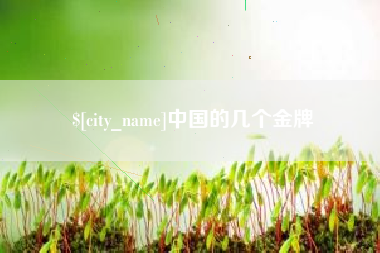 泗洪中国的几个金牌
