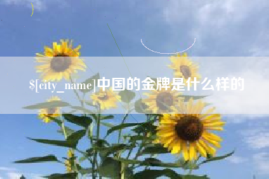 泗洪中国的金牌是什么样的