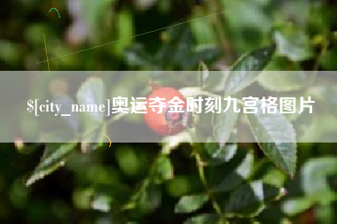 泗洪奥运夺金时刻九宫格图片