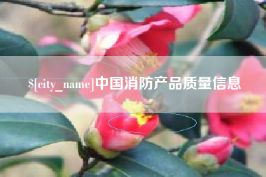 泗洪中国消防产品质量信息