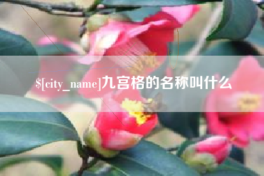 泗洪九宫格的名称叫什么