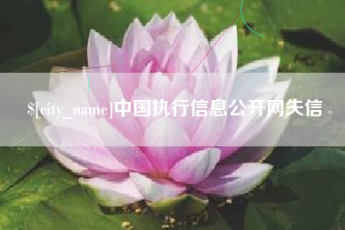 泗洪中国执行信息公开网失信