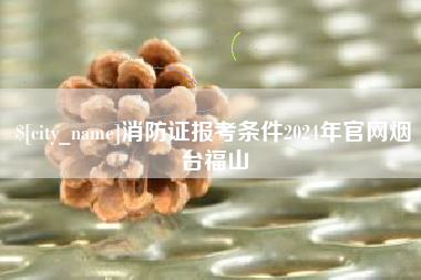 泗洪消防证报考条件2024年官网烟台福山