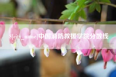 泗洪中国消防救援学院分数线