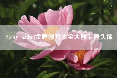 泗洪金牌图片大全大图卡通头像