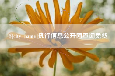 泗洪执行信息公开网查询免费