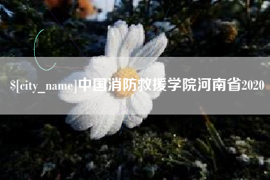 泗洪中国消防救援学院河南省2020